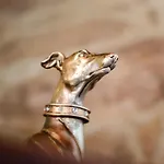 Casa De Costoia Εξοχικό σπίτι *
