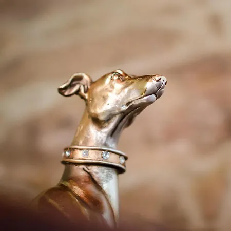 Casa De Costoia Landhuis *