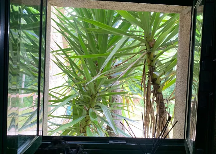 Casa De Costoia Saint-Jacques-de-Compostelle